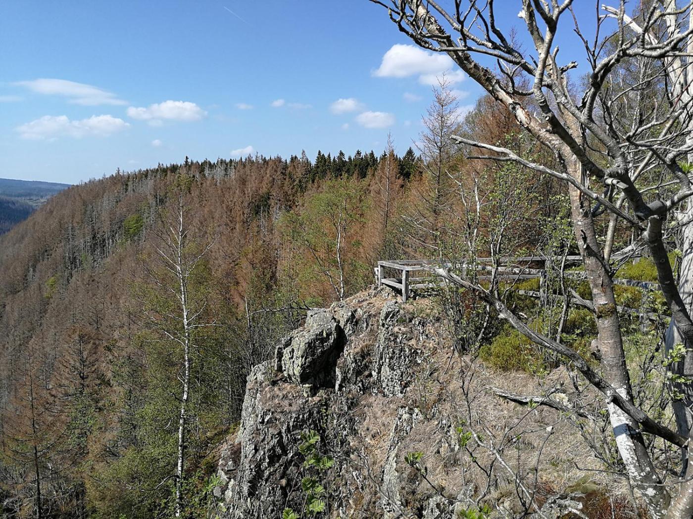 Ferienapartment Bergstation Braunlage Esterno foto